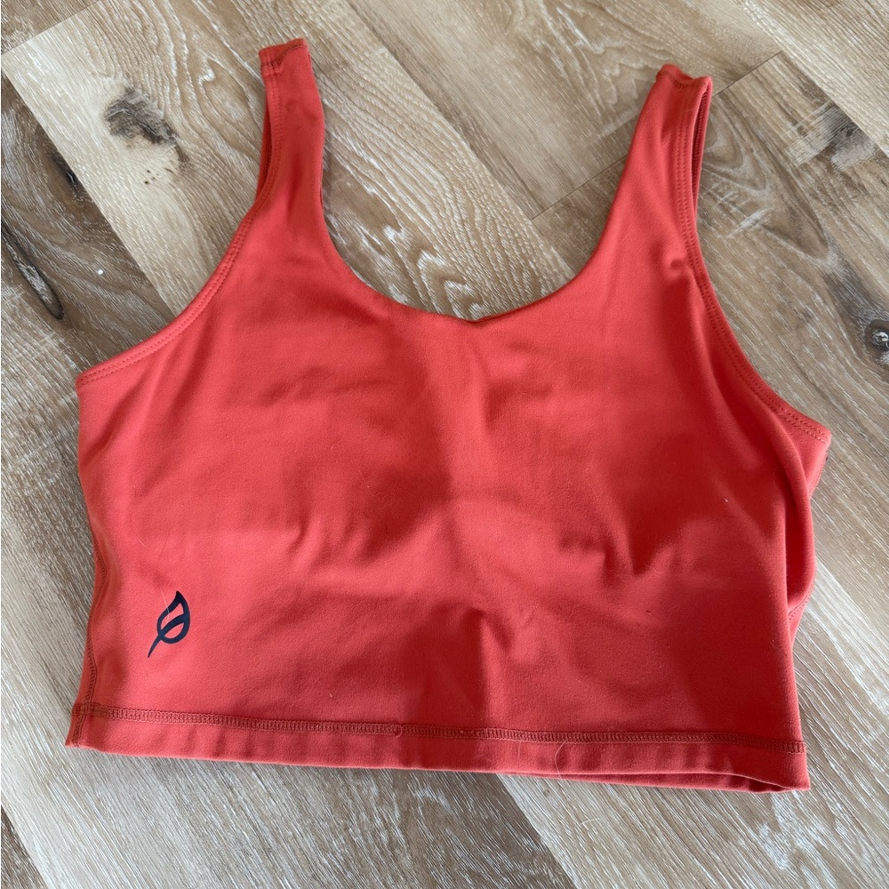 P’tula Women's Deep Orange Crop Top